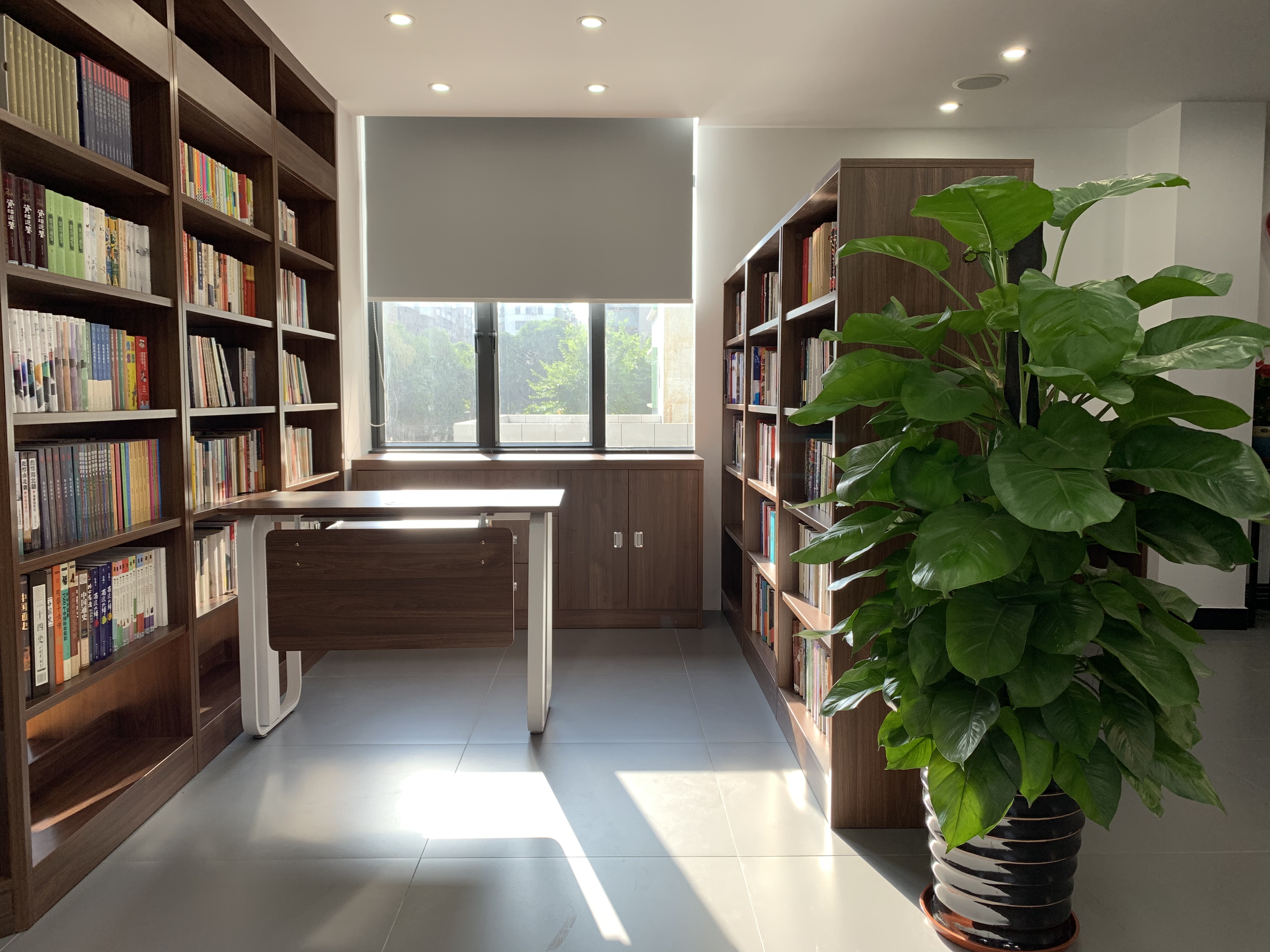 Bookcase