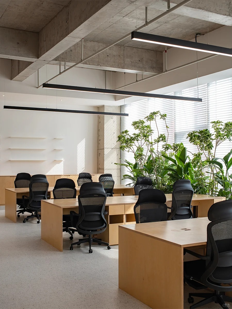 Mesh chair